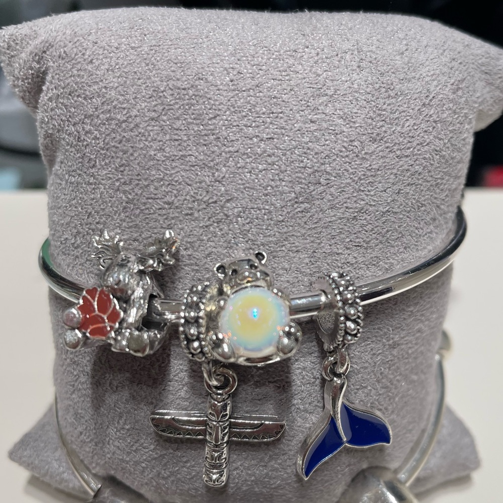 Princess Cruise Line Alaska Charm Bracelet